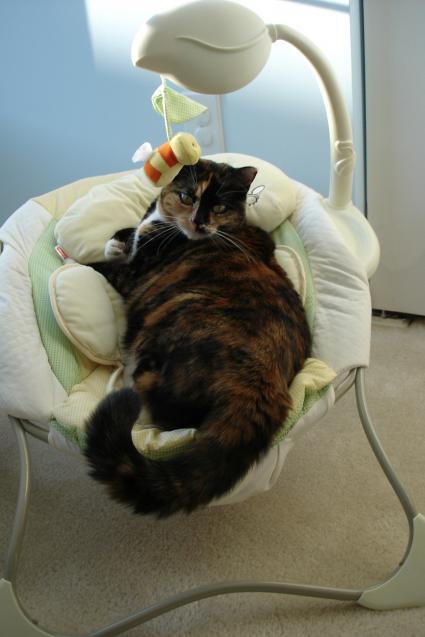 zoe-031708.jpg