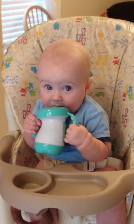tedcup