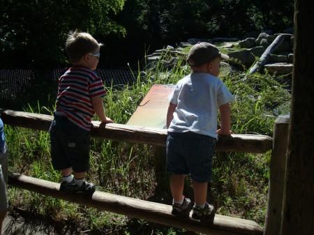 2010-7-1 Ted & Jack to zoo 007