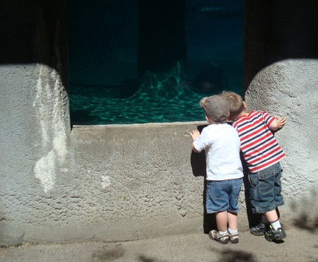 2010-7-1 Ted & Jack to zoo 013